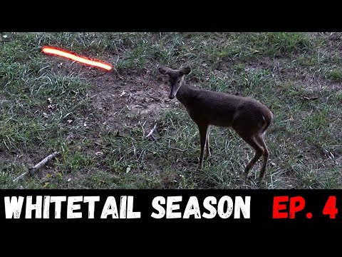 BOWHUNTING: 20 Yard Shot!!
