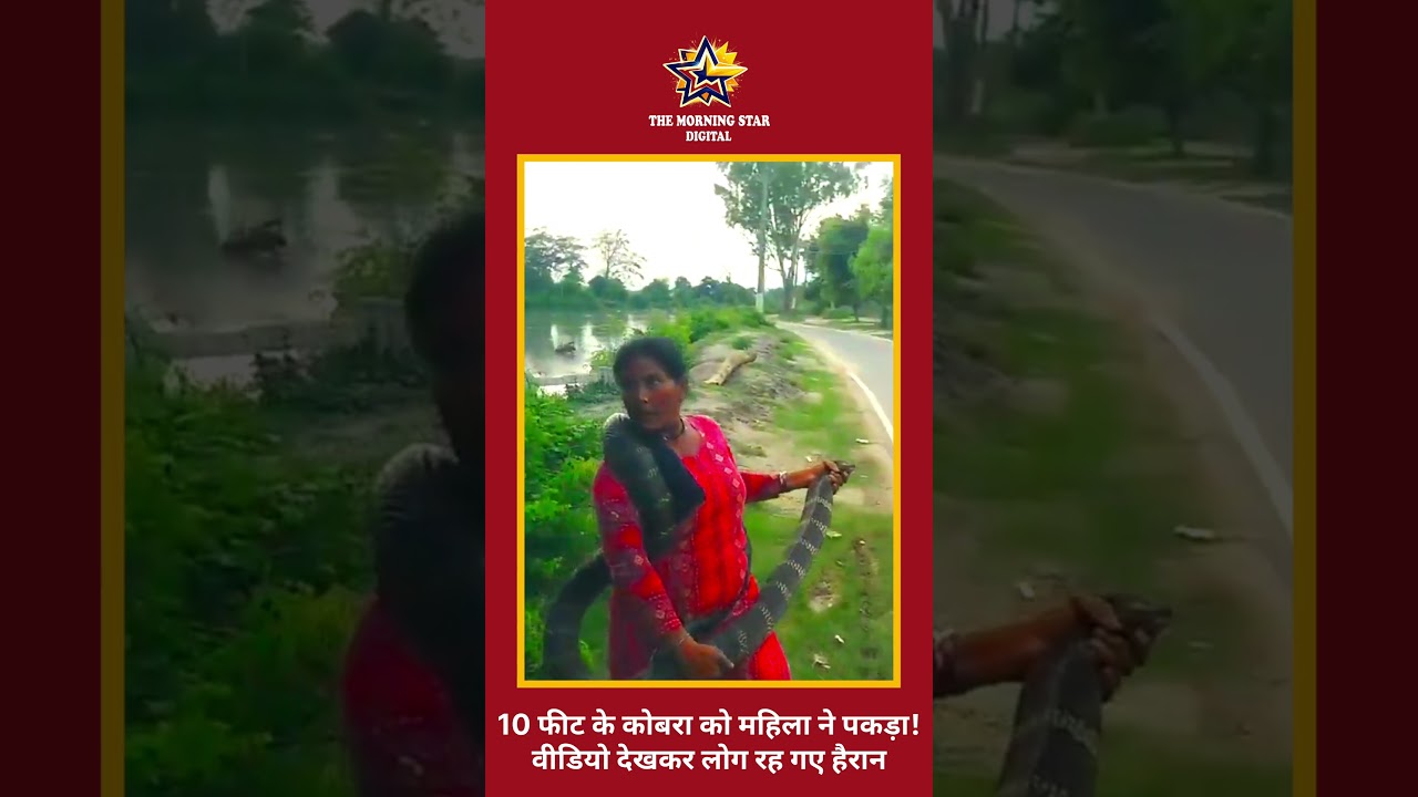 10 फीट लंबे Cobra को महिला ने पकड़ा, Video Viral | Bihar News #shorts #biharbreakingnews #indianews