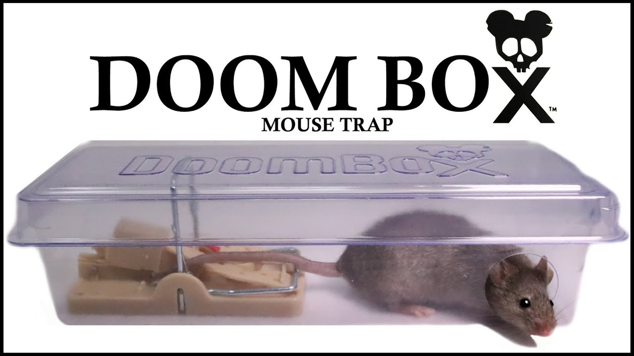 DoomBox Enclosed Mouse - Keeps the Trap (&mice( from Pets & Kids