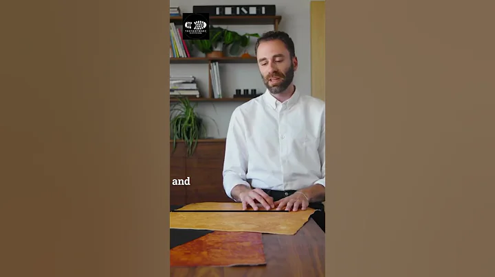 The Next Chapter in Leather: Mushroom-Based Vegan Alternatives