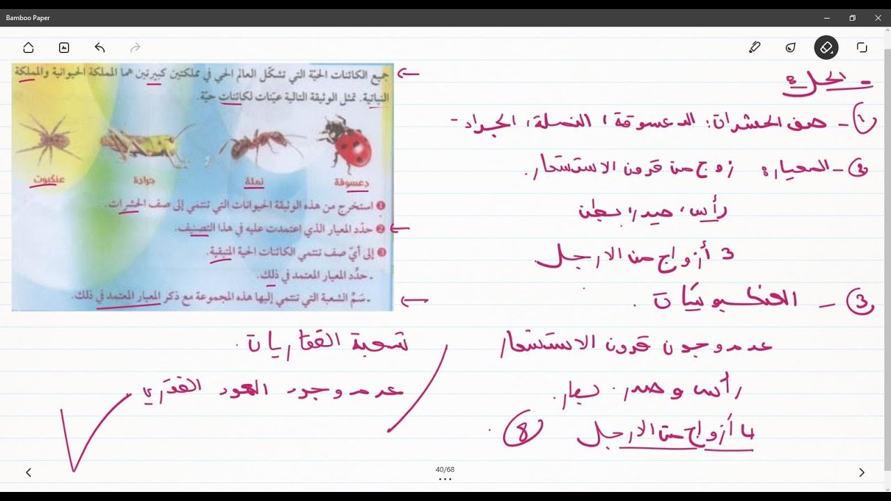 علوم طبيعية الثانية متوسط تمرين على تصنيف الحشرات