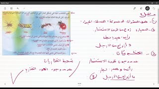 علوم طبيعية الثانية متوسط تمرين على تصنيف الحشرات