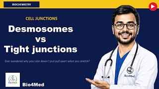 Cell Junctions Explained: Tight Junctions, Desmosomes, Gap Junctions & Ion Channels