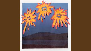 Bootleg Firecracker - Middle Kids
