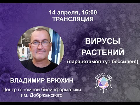 Видео: Устгасан файлуудыг вирусны эсрэг програмаар хэрхэн сэргээх вэ