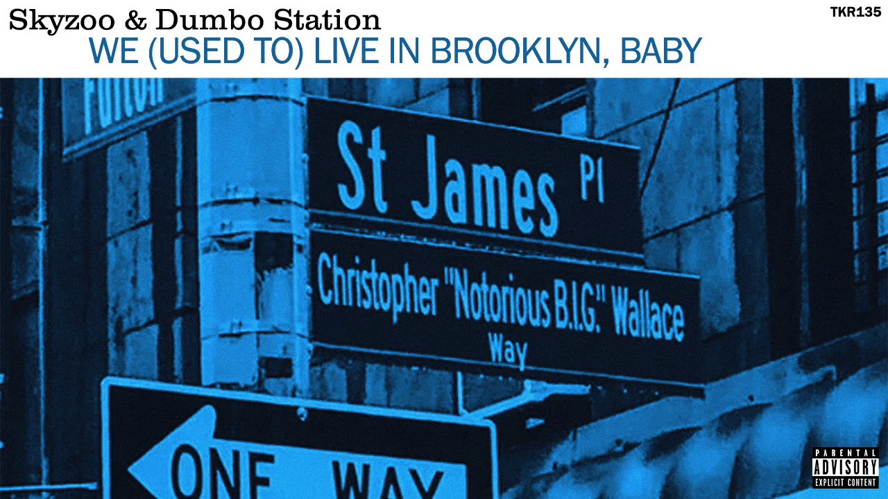 Skyzoo & Dumbo Station - We (Used To) Live in Brooklyn, Baby (New Official Audio)