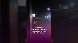 ¡Qué miedo! Alerta por hipopótamos en la vía Medellín-Bogotá