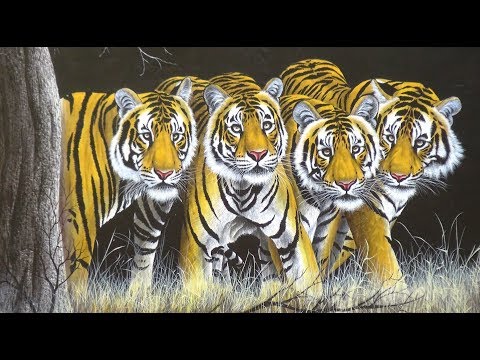 Video: Hvorfor Turister I Indien Har Forbud Mod At Besøge Tigerreservater