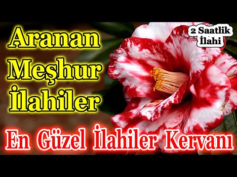 🌹En Sevilen İlahiler🌹Karışık Güzel İlahiler🌹Yeni İlahi Albümleri Dinle🌹Seçme İlahi Dinle 2023🌹