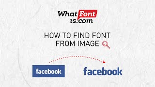 Font Finder Guide: Quickly Identify Fonts from Any Image!
