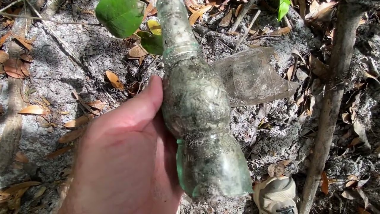 Bottle Hunting in Florida, 1920s Nugrape bottle and White House Vinegar bottle 
