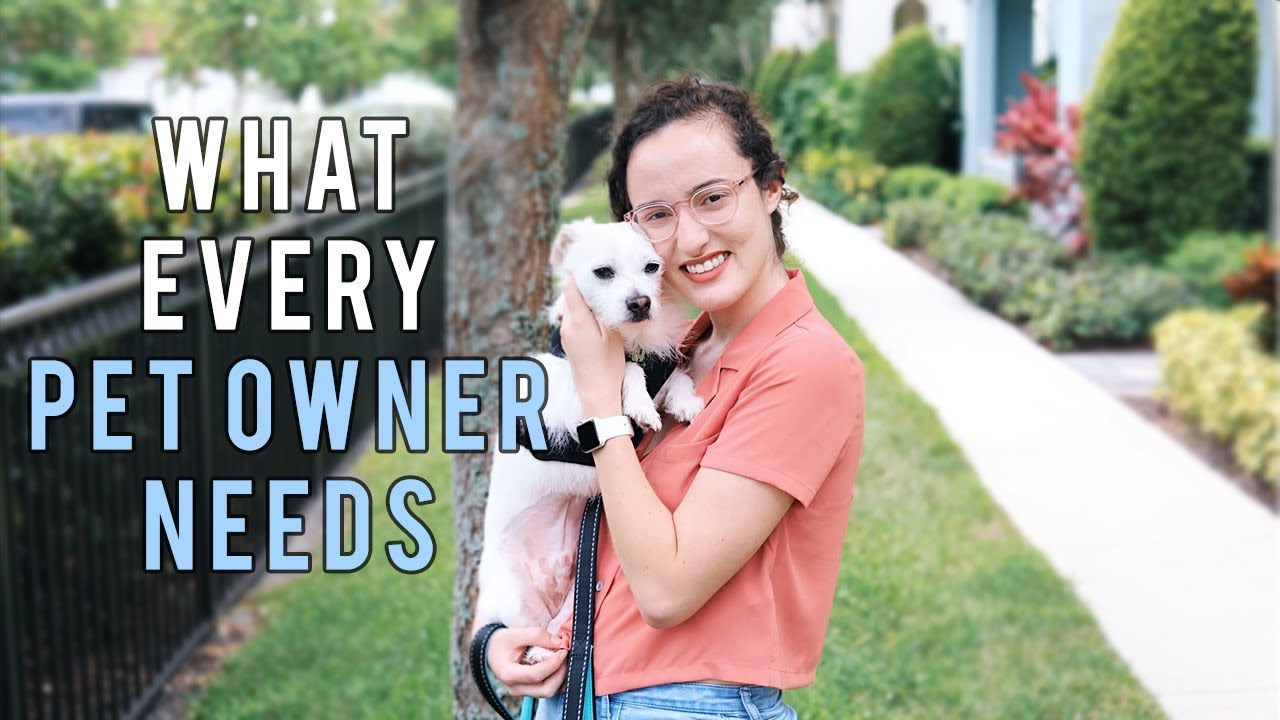 What EVERY Pet Owner Needs Healthy Paws Pet Insurance