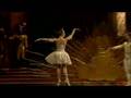 Capture de la vidéo Tchaikovsky: The Sleeping Beauty (Opus Arte)