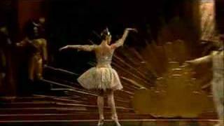 Watch The Sleeping Beauty (Dutch National Ballet, 2003) Trailer