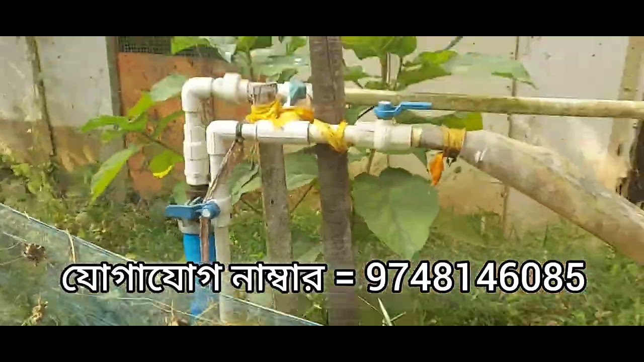 ঝড়খালি সুন্দরবন টোটাল জায়গার পরিমাণ 2 বিঘা 6 কাটা টোটাল দাম 22 লাখ কেউ ইন্টারেস্ট থাকেন যোগাযোগ 