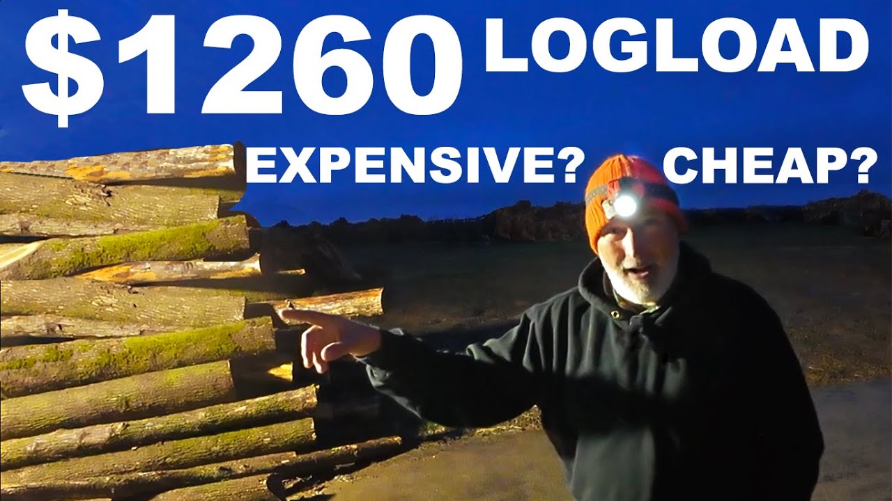 $1,260 LOG LOAD FIREWOOD HIGH OR LOW?