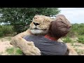 Amazing animals hugging people compilation