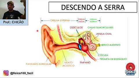 O que ocorre com a pressão atmosférica que atua sobre nosso corpo quando subimos uma serra?