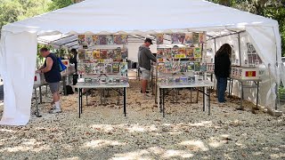 Local Collectors Hunt for Key Issues Comic Book at This Monthly Tent Sale!