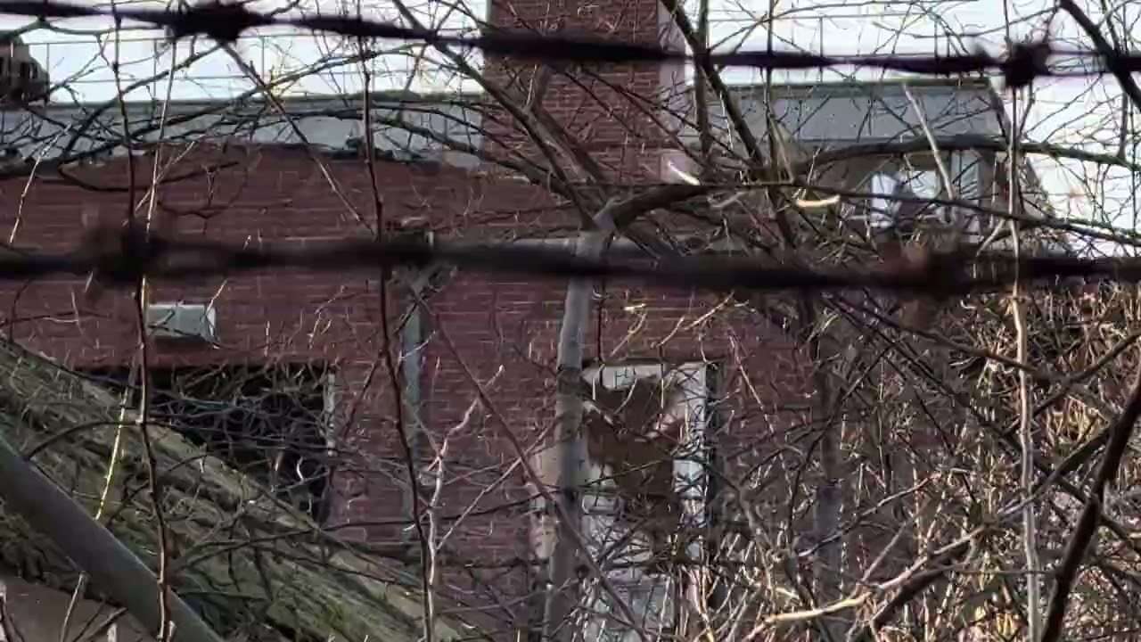 Wardenclyffe in Ruins — One Year After the Awakening