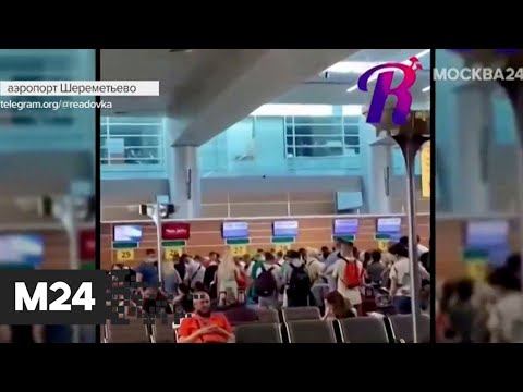 В аэропорту Шереметьево выстроились огромные очереди у стоек регистрации - Москва 24