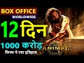 Animal box office collection day 12, animal worldwide collection, animal total collection