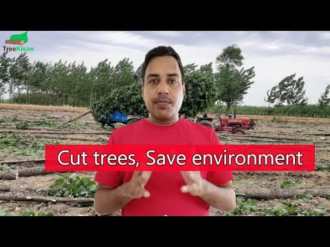 पेड़ काटो ! पर्यावरण बचाओ !  Cut the trees and save environment - video from TreeKisan