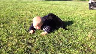 IMG 14461]