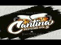 Bolo mix cantina editions vol 5 edilson beat sound music records