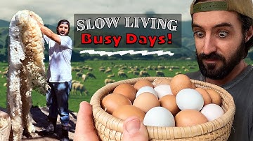 Life on Our 2-Acre Homestead 🌿 | DIY Projects, Garden Upgrades & Kitchen Remodel Progress