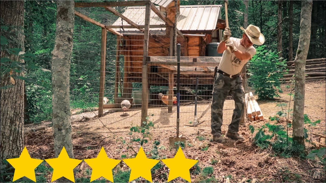 CHICKEN COOP IS GETTING A 5 STAR UPGRADE ***** YouTube