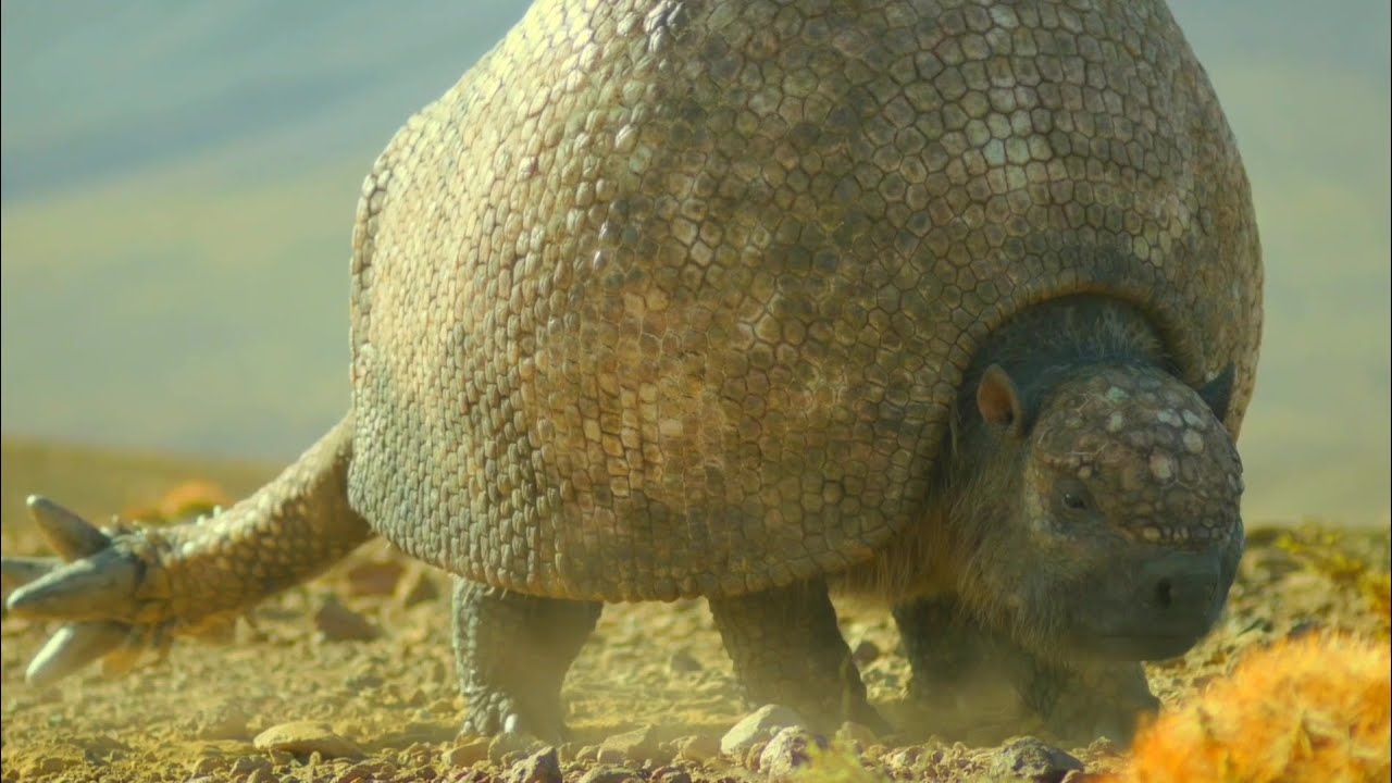 Prehistoric Planet Ice Age [2025] - Female Doedicurus Screen Time - YouTube