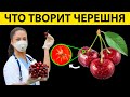 Вот ЧТО ТВОРИТ ЧЕРЕШНЯ с организмом! 99% людей даже НЕ ПОДОЗРЕВАЮТ об этом!!!