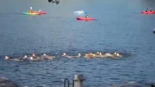 Waukeela Synchro 2012