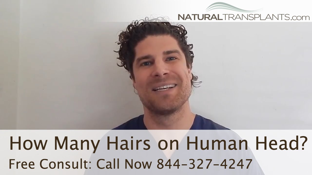 How Many Hairs on the Human Head? | How Much Hair Loss is Normal? - YouTube