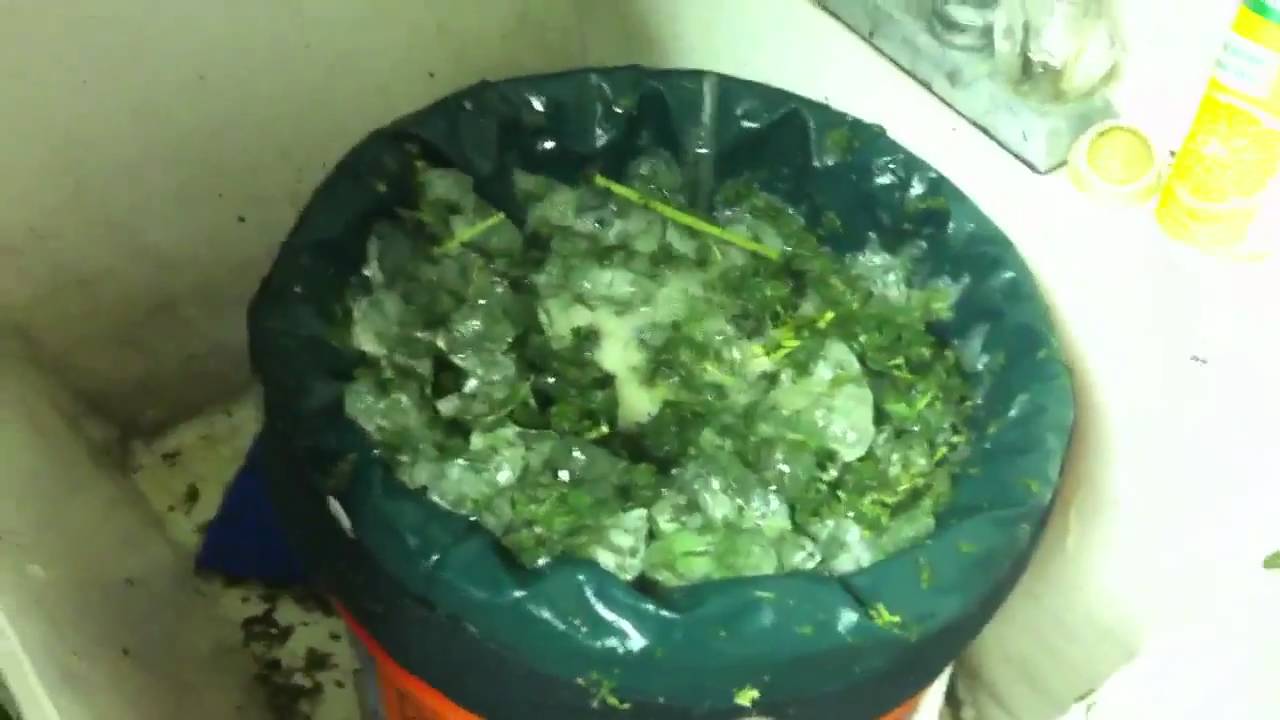 Black berry kush hash is action!