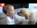 Дети и животные 5 ● Приколы с животными осень 2014 ● Dogs & Cute Babies Compilation ● Part 5