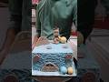 semi founded cake. new design cake#cake #viralvideo #viralsotes