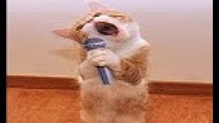 ⚠😂ТЕСТ НА ПСИХИКУ, КТО ЗАСМЕЁТСЯ или УЛЫБНЁТСЯ - лайк ))) ЛУЧШИЕ ПРИКОЛЫ ⚠😂ТЕСТ НА ПСИХИКУ, КТО ЗАСМЕЁТСЯ или УЛЫБНЁТСЯ - лайк ))) ЛУЧШИЕ ПРИКОЛЫ
