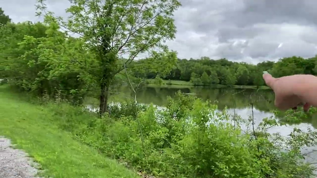 Bee Tree Park - Hike With Me - St Louis County 30/30 Hiking Program