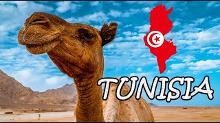 Five Days in TUNISIA | Hidden Gems of the World