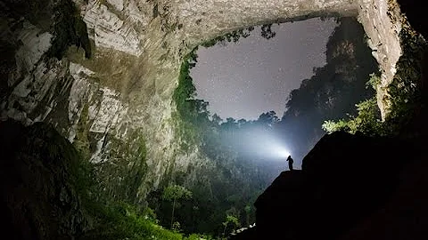 Wie heißt der größte Wald auf der Welt?