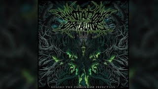 Watch Annotations Of An Autopsy Before The Throne Of Infection video