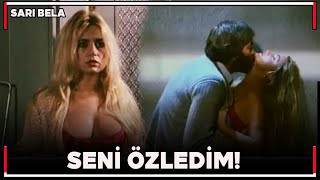 Sarı Bela | Mine ve Faruk Aşka Geliyor!