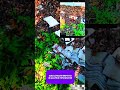 ⚡️ Работай УЖЕ СЕЙЧАС! Новая ВАКАНСИЯ ЖДЁТ ТЕБЯ! Лучшая проффесия для студентов! #курьер #клад