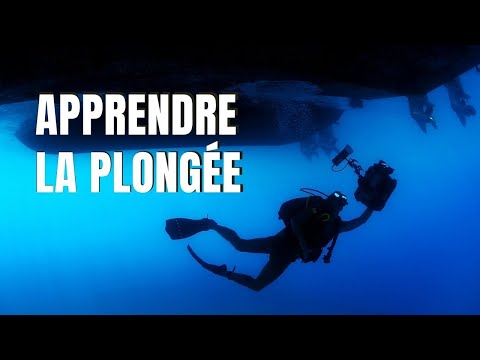 Vidéo: Que Peut Nous Apprendre La Plongée Sur Les Voyages? Réseau Matador