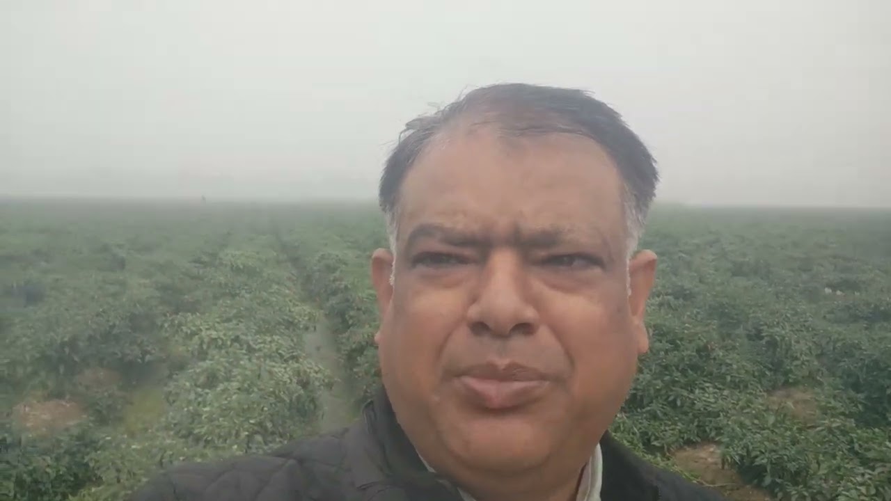 MODICARE KE MAGICAL PRODUCTs.. BY PLATINUM DIRECTOR R. K. BARANWAL- 9451939773