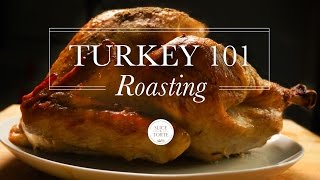 Episode 6 is all about your dependable, traditional, holiday turkey.
there's a lot of room for variation, but don't expect something
revolutionary here. what...