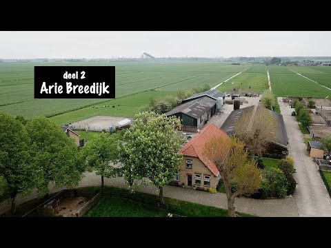 Video: Voor Vijftien Steden. Deel II