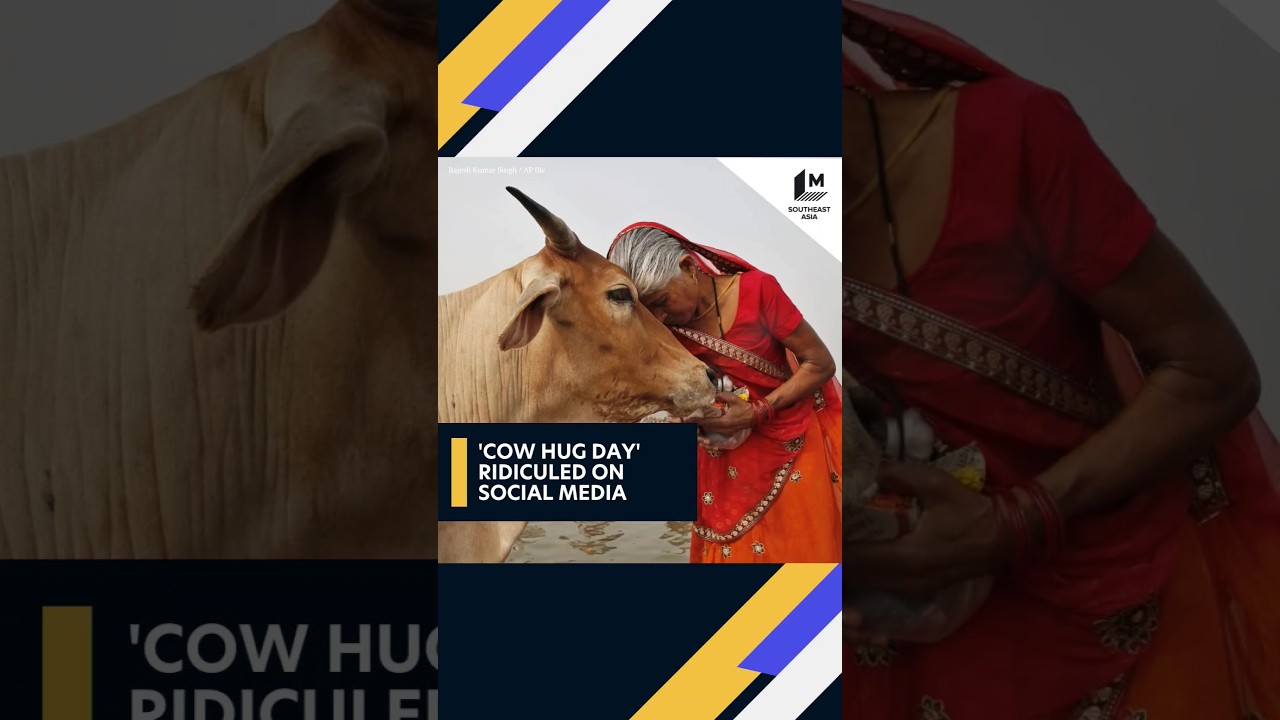 'Cow Hug Day' didn't happen after being ridiculed on social media 